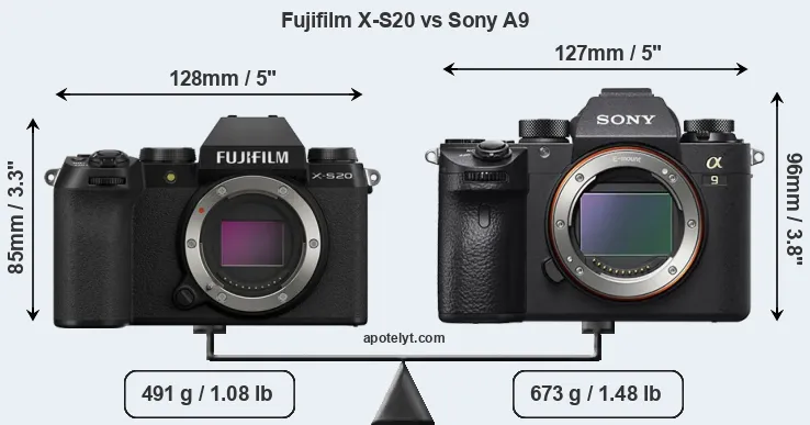 Size Fujifilm X-S20 vs Sony A9
