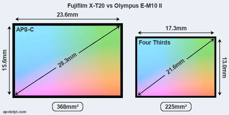 Fujifilm X-T20 and Olympus E-M10 II sensor measures