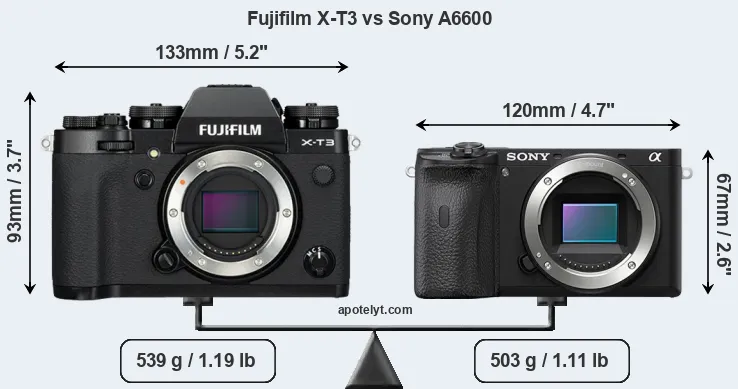 Size Fujifilm X-T3 vs Sony A6600