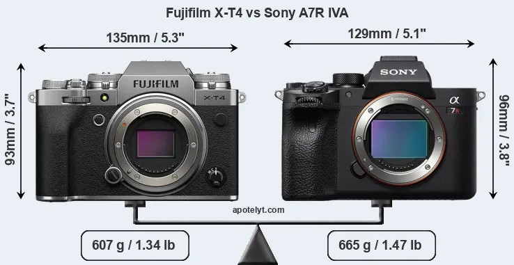 Size Fujifilm X-T4 vs Sony A7R IVA