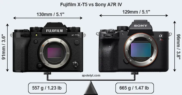 Size Fujifilm X-T5 vs Sony A7R IV