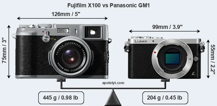 Size Fujifilm X100 vs Panasonic GM1