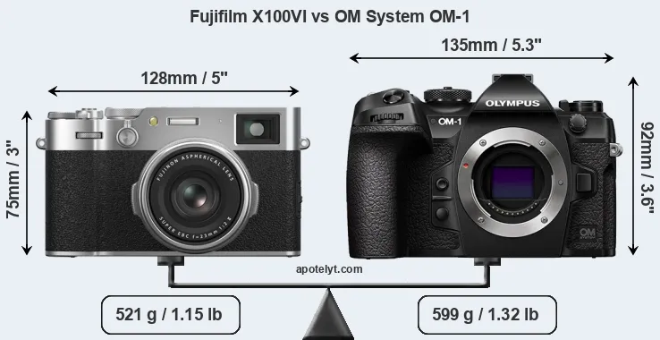 Size Fujifilm X100VI vs OM System OM-1