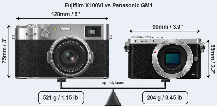 Size Fujifilm X100VI vs Panasonic GM1