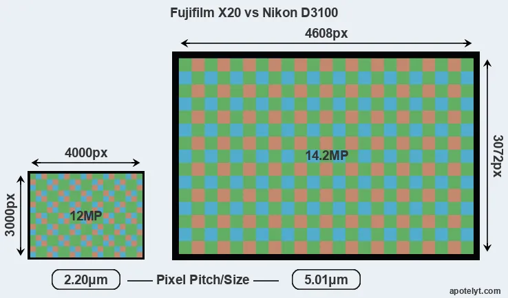 X20 versus D3100 MP