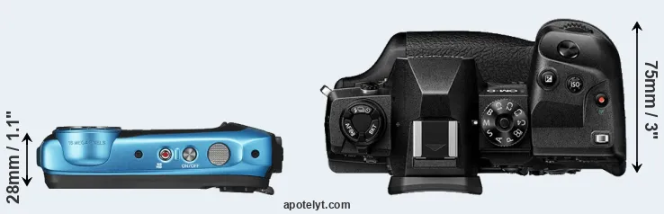Compare XP130 versus E-M1X top