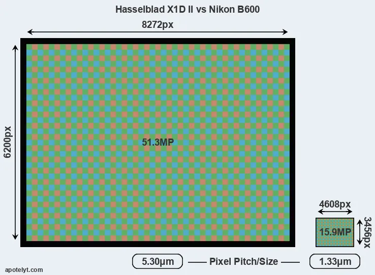 X1D II versus B600 MP