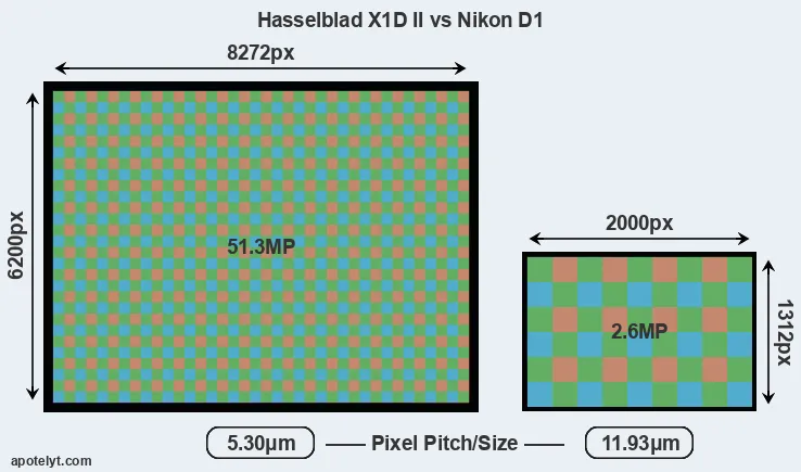 X1D II versus D1 MP