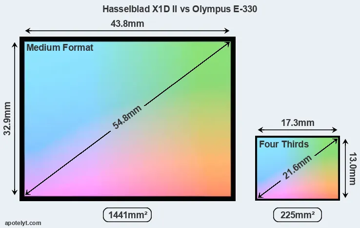 Hasselblad X1D II and Olympus E-330 sensor measures