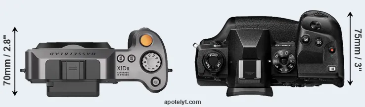Compare X1D II versus E-M1X top