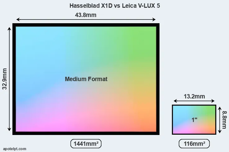 Hasselblad X1D and Leica V-LUX 5 sensor measures