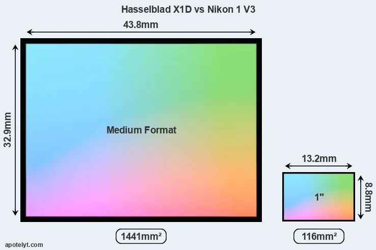Hasselblad X1D and Nikon 1 V3 sensor measures