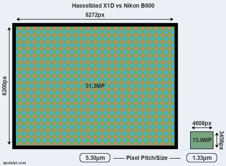 X1D versus B600 MP