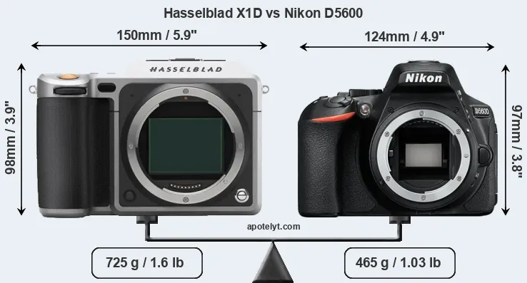 Size Hasselblad X1D vs Nikon D5600