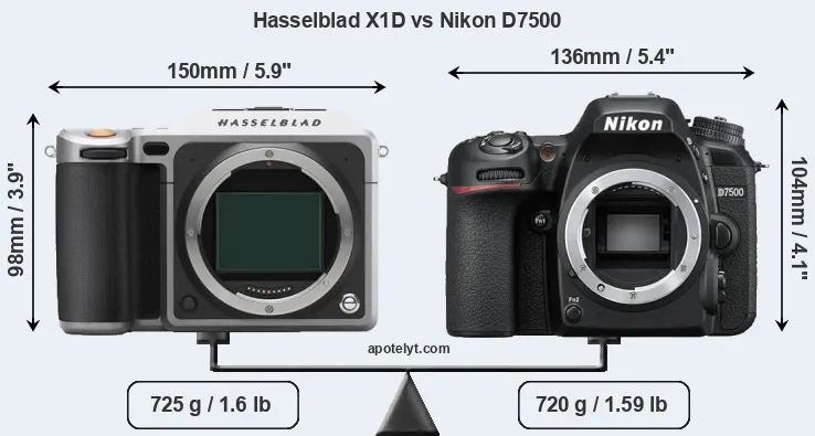 Size Hasselblad X1D vs Nikon D7500