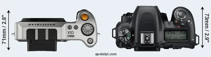 Compare X1D versus D7500 top