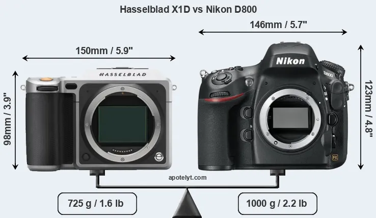 Size Hasselblad X1D vs Nikon D800