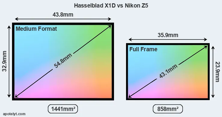 Hasselblad X1D and Nikon Z5 sensor measures