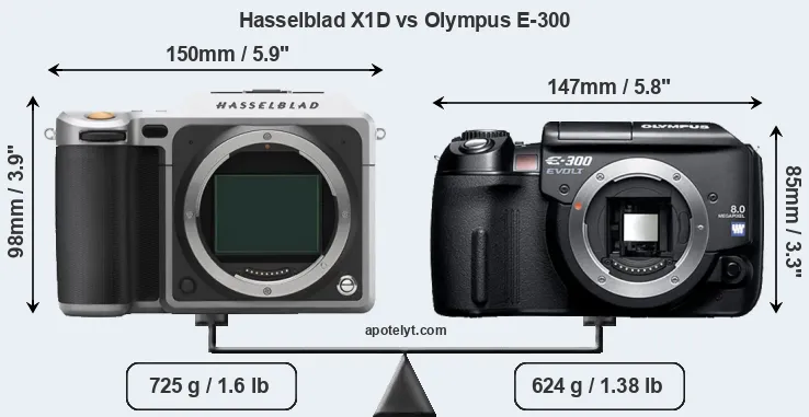 Size Hasselblad X1D vs Olympus E-300