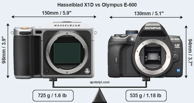 Size Hasselblad X1D vs Olympus E-600