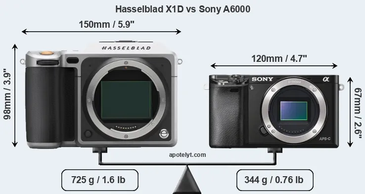 Size Hasselblad X1D vs Sony A6000