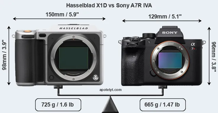Size Hasselblad X1D vs Sony A7R IVA