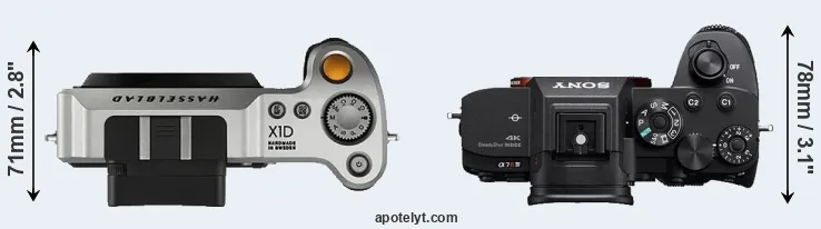 Compare X1D versus A7R IVA top