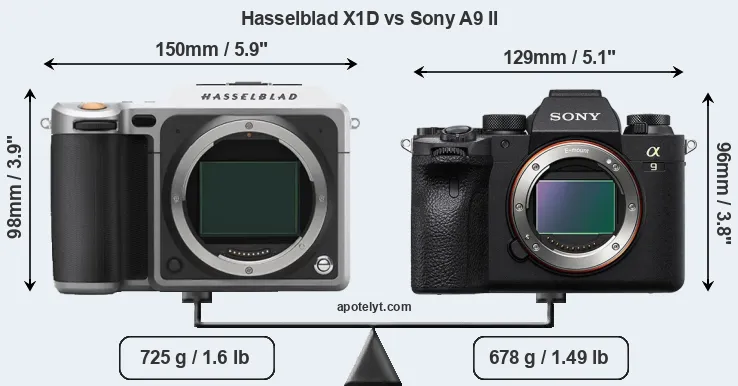 Size Hasselblad X1D vs Sony A9 II