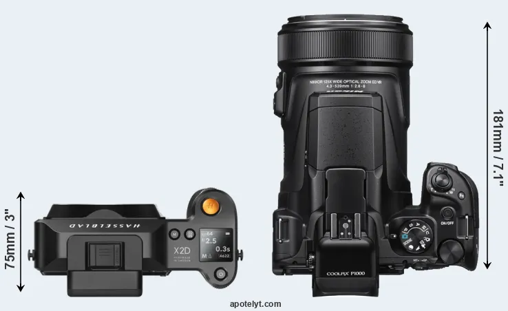 Compare X2D 100C versus P1000 top