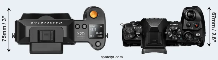 Compare X2D 100C versus E-M1 II top