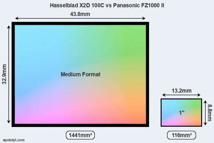 Hasselblad X2D 100C and Panasonic FZ1000 II sensor measures