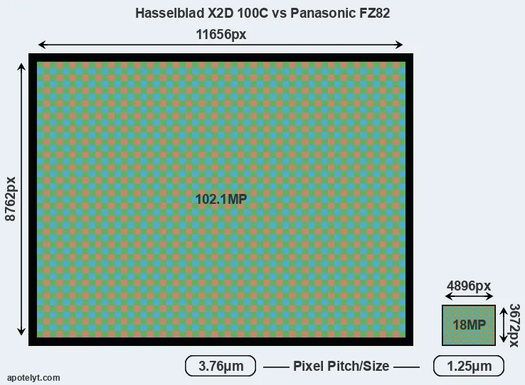 X2D 100C versus FZ82 MP