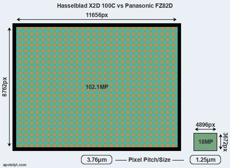 X2D 100C versus FZ82D MP