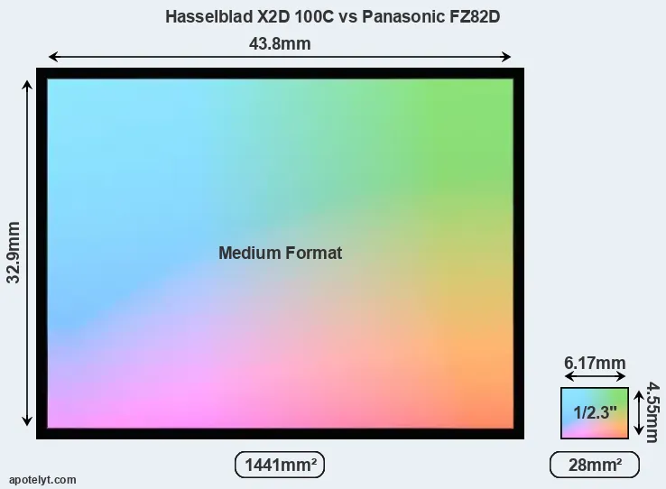 Hasselblad X2D 100C and Panasonic FZ82D sensor measures