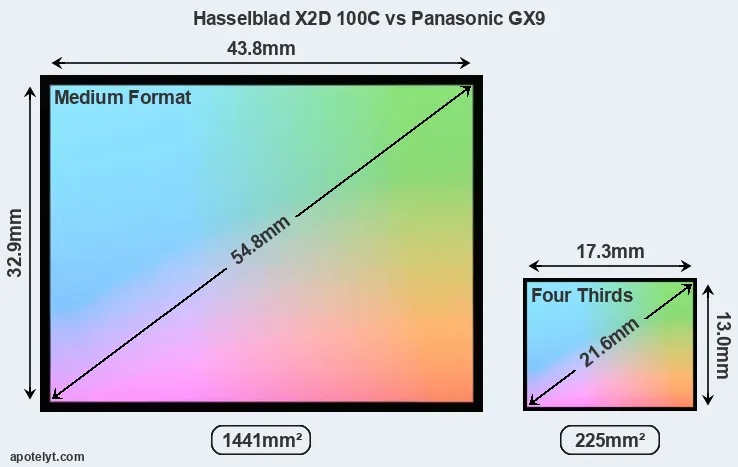 Hasselblad X2D 100C and Panasonic GX9 sensor measures