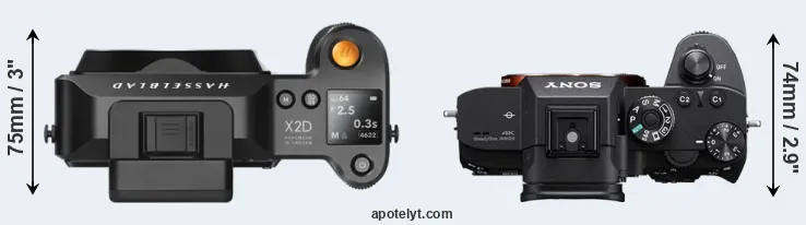 Compare X2D 100C versus A7R III top