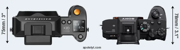 Compare X2D 100C versus A7R IV top