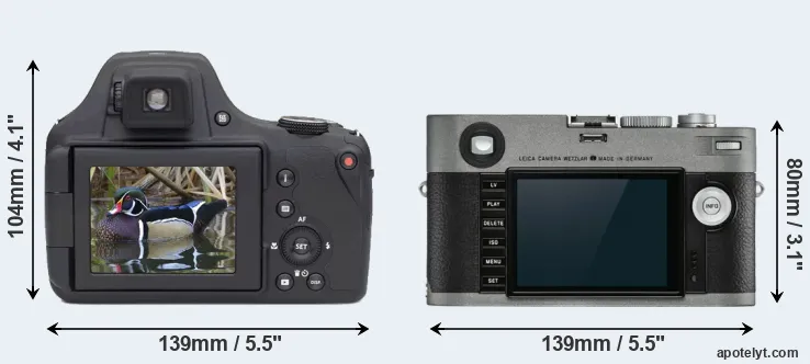 Comparison AZ901 or M-E Typ 240 rear