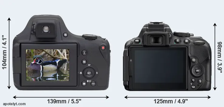 Comparison AZ901 or D5300 rear