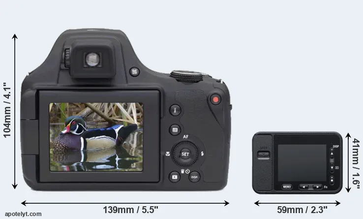 Comparison AZ901 or RX0 rear