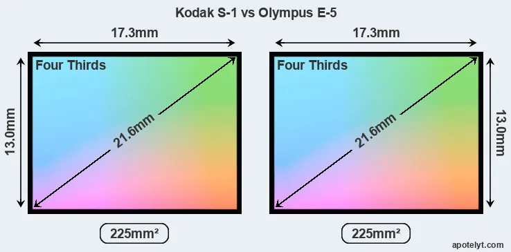 Kodak S-1 and Olympus E-5 sensor measures