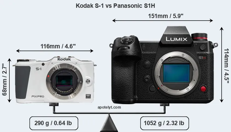 Size Kodak S-1 vs Panasonic S1H
