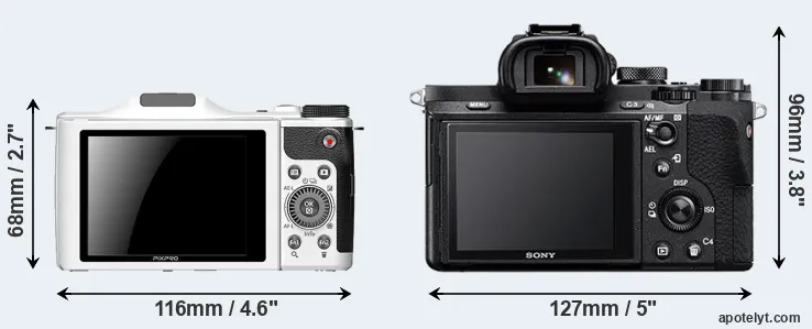 Comparison S-1 or A7 II rear