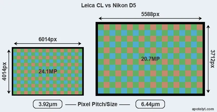CL versus D5 MP