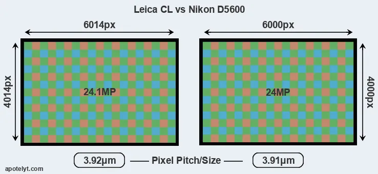 CL versus D5600 MP