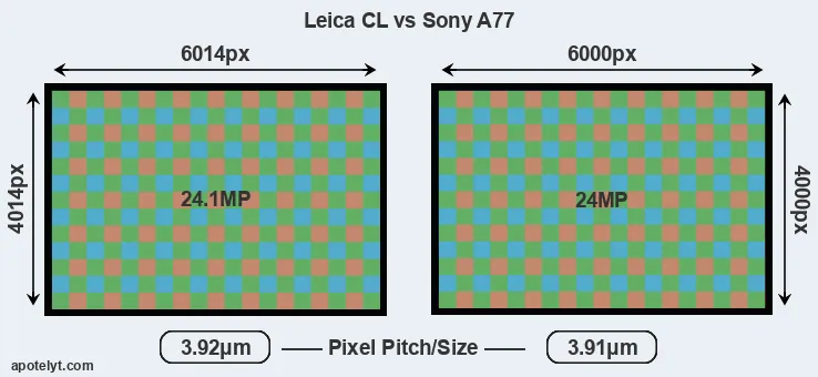 CL versus A77 MP