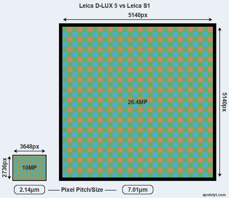 D-LUX 5 versus S1 MP