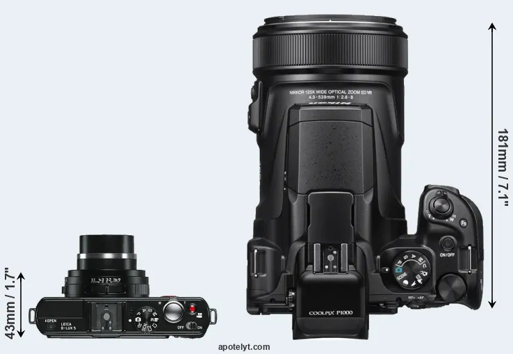 Compare D-LUX 5 versus P1000 top