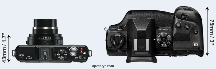 Compare D-LUX 5 versus E-M1X top