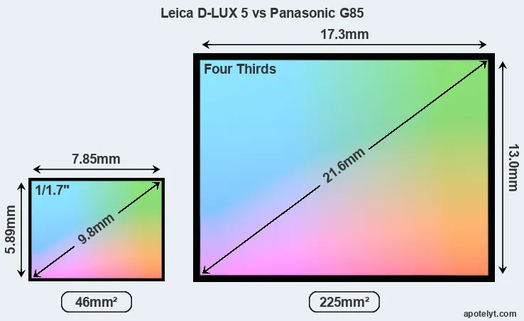 Leica D-LUX 5 and Panasonic G85 sensor measures